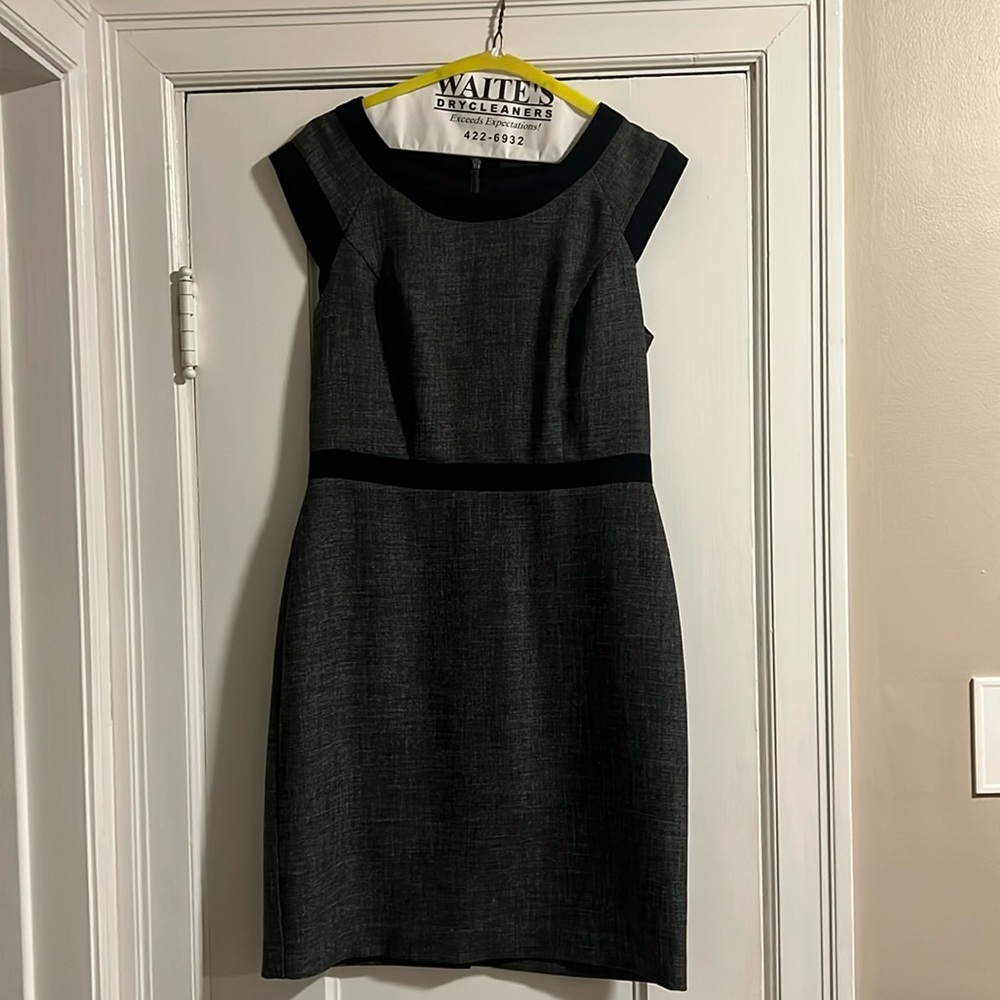 The Limited Sheath Dress Size - 6